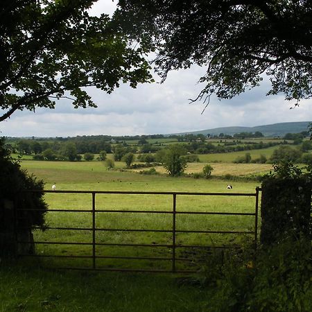 Brandon View House B&B Graiguenamanagh Bagian luar foto