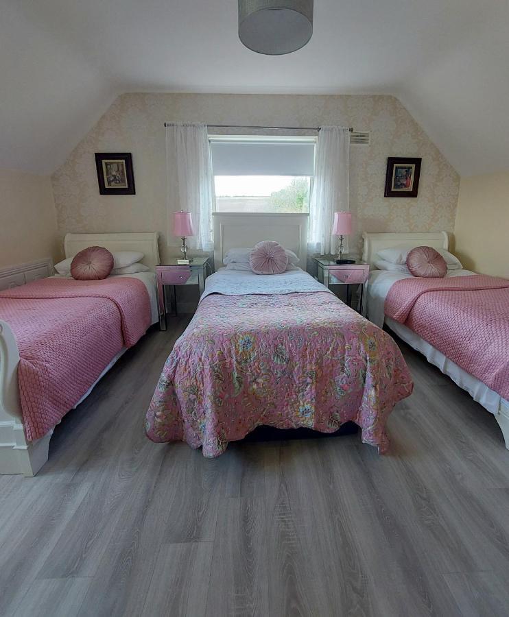 Brandon View House B&B Graiguenamanagh Bagian luar foto