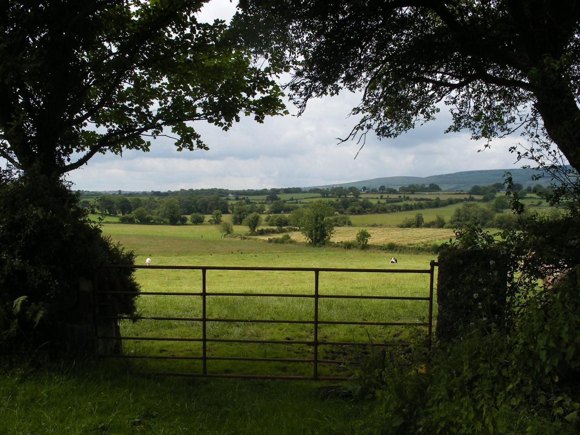 Brandon View House B&B Graiguenamanagh Bagian luar foto