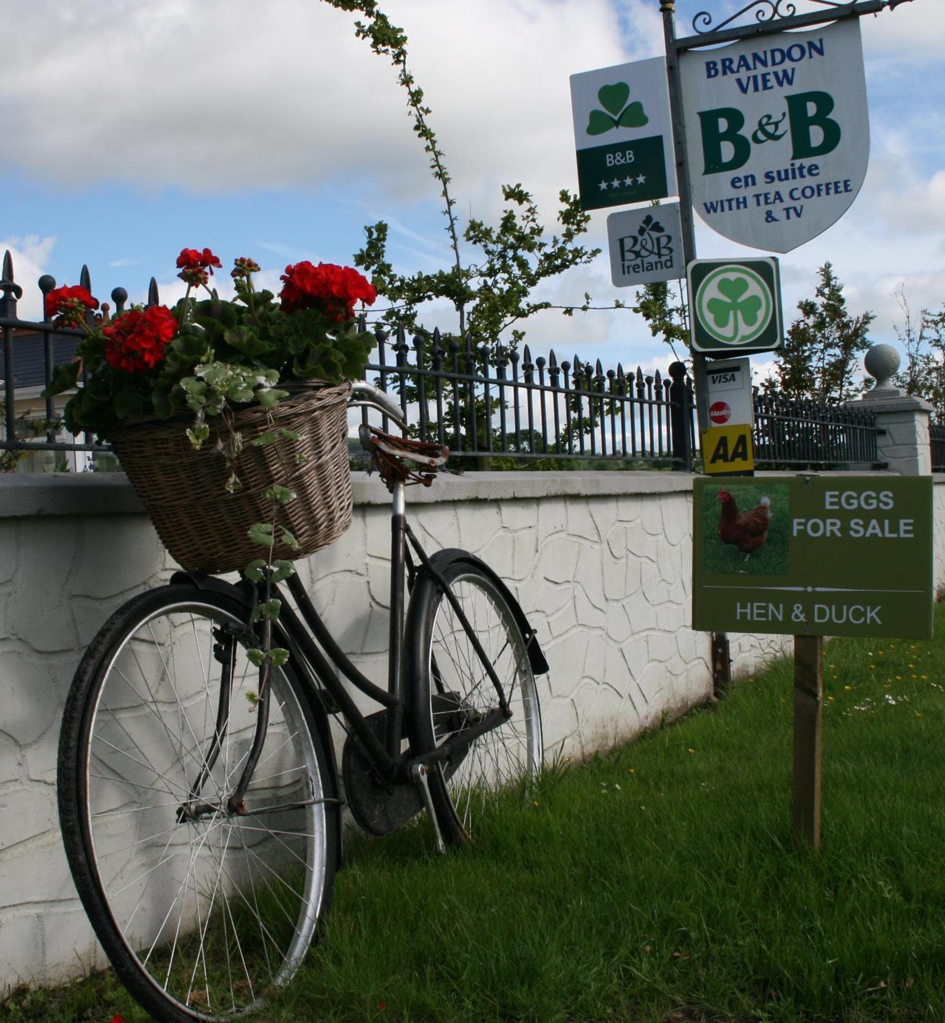 Brandon View House B&B Graiguenamanagh Bagian luar foto