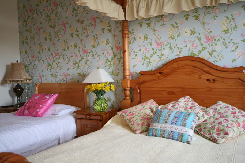 Brandon View House B&B Graiguenamanagh Bagian luar foto