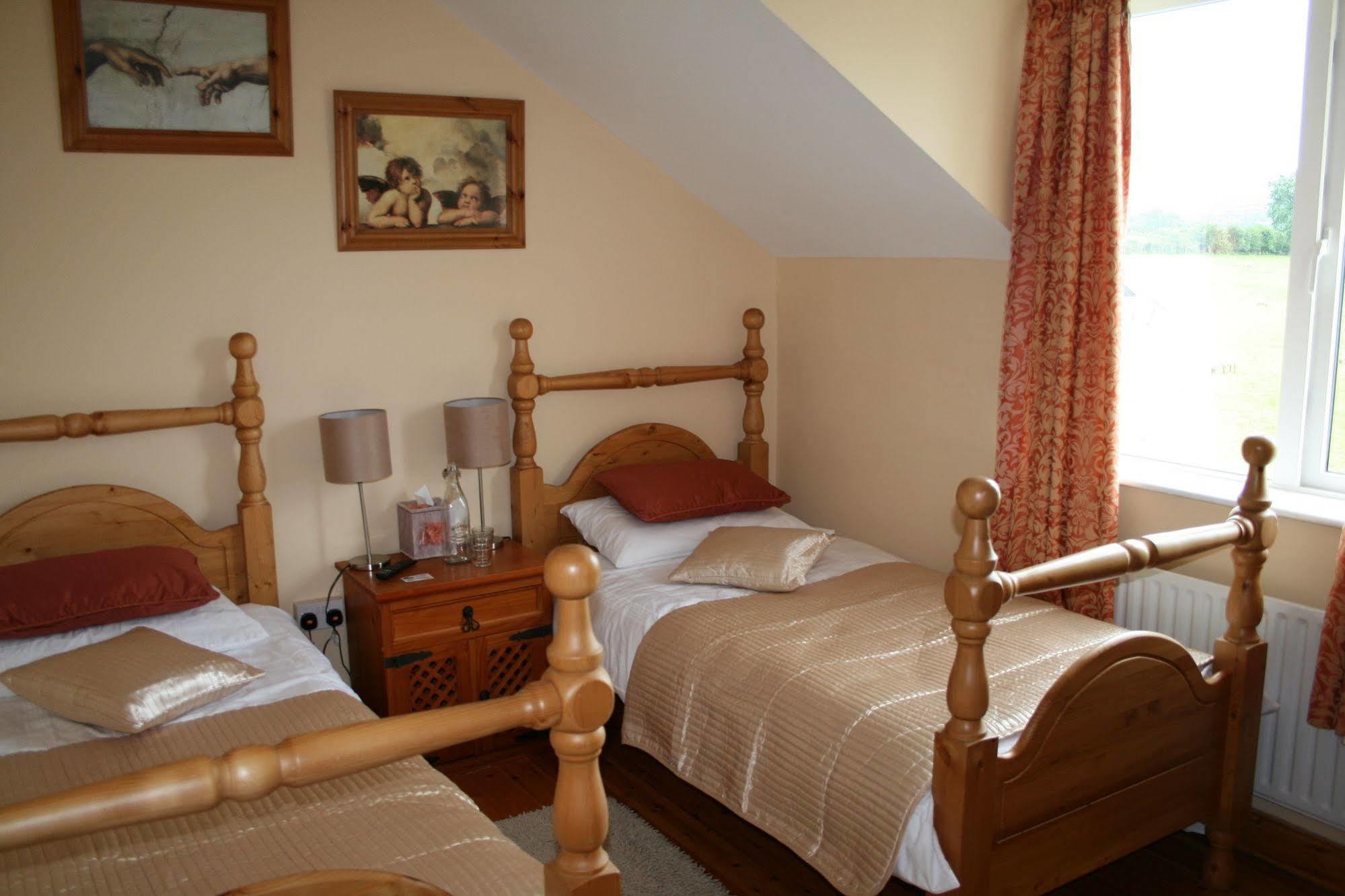 Brandon View House B&B Graiguenamanagh Bagian luar foto