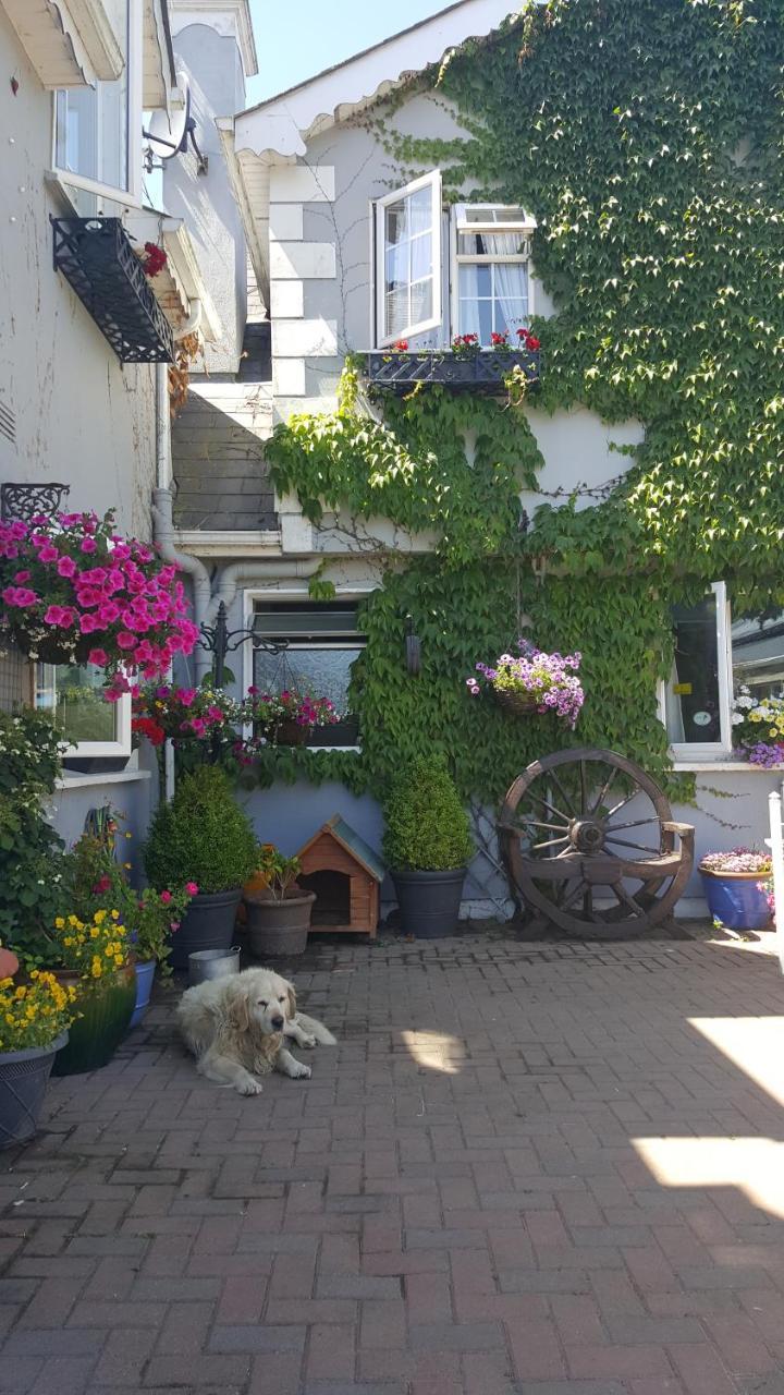 Brandon View House B&B Graiguenamanagh Bagian luar foto